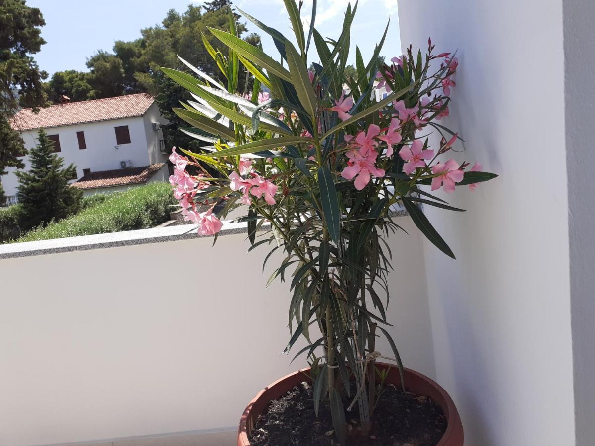 Apartmani Miletic Jelsa  Εξωτερικό φωτογραφία